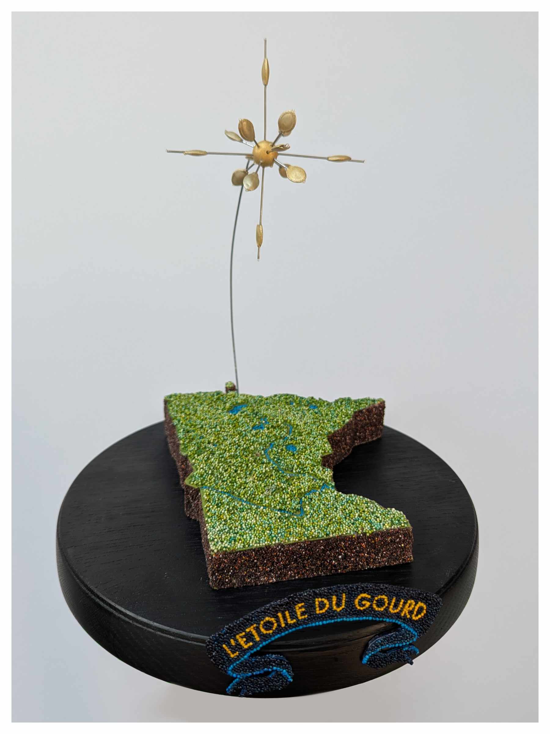 [Tony Pfaff L'etoile du Gourd image]